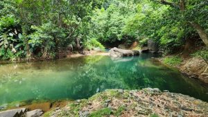 Voyage caraibes la dominique