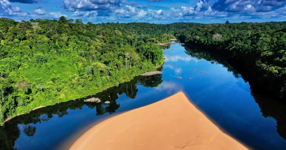 Écotourisme au Suriname : Voyage au Cœur de l&rsquo;Amazonie Préservée